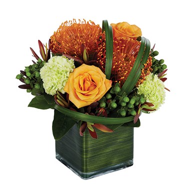 Tropical Sophistication